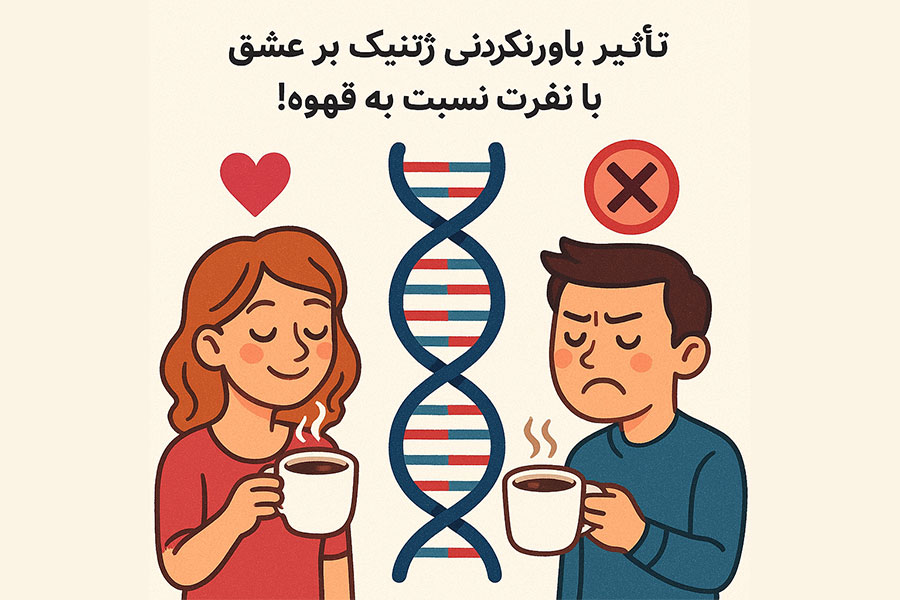 چرا قهوه روی بعضی‌ها اثر مثبت دارد و روی بعضی‌ها اضطراب می‌آورد؟ پاسخ در ژن‌های شماست!